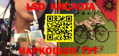 шишки Краснодар