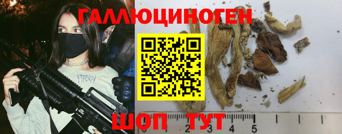 Псилоцибиновые грибы мицелий Керчь